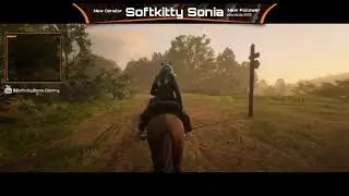 Red Dead Redemption 2 Finding Collectibles  (To be continued)