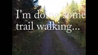 Maine Grouse Hunting 2022