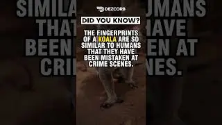 Did you know? | Unusual Fact #23