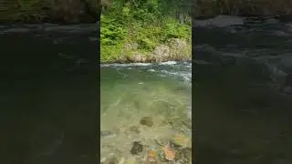 SOUNDS OF NATURE