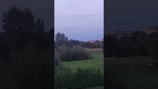 Amazing Sky Stalkers #shorts