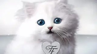 Happy Holidays 2012 from Fancy Feast®