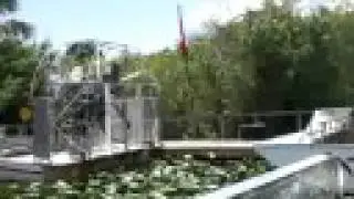 Florida Everglades