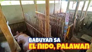Nakabisita tayo ng Babuyan sa El Nido, Palawan!