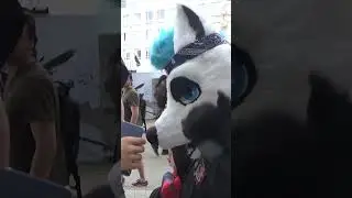 Интервью с фурри #фурри #андертейл #интервью #косплей