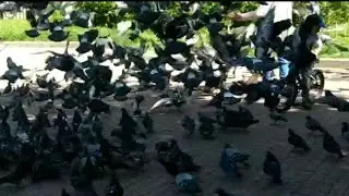 Дар тераторияи Метро ВЛОГ сиёнка кадем