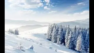 Воскресная проповедь. Пастор Ким Роман (23.01.2022г.)