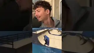 Как тебе такая фишка?