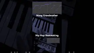 Moog grandmother Hip Hop beatmaking #boombap #beatmaking #musicproduction #synthesizer #hiphop