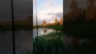 PRO-ЫБАЛКА