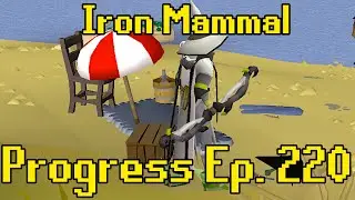 Life After Twisted Bow | Iron Mammal Progress 220