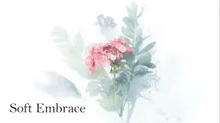 Soft Embrace (Original)