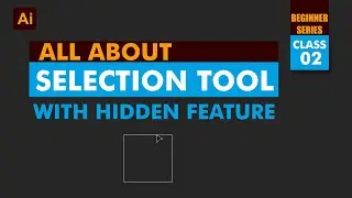 Selection tool in illustrator | Illustrator beginner Chapter 02