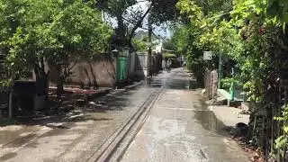 IMG 7188
