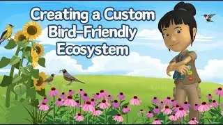 A WonderGrove for Birds: Creating a Bird Friendly Ecosystem