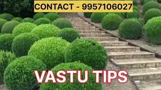 Bring Positive Energy with Simple Vastu Tips ✨ 
