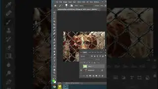 Remove Fence in Photoshop 