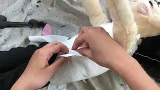 How I make Miên doll | Doll Making Process
