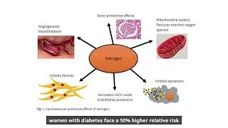 Differences in Risk Factors for Coronary Atherosclerosis According to Sex