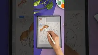 From sketch to color 🦊 Foxes sketchbook spread #procreateipadpro #procreateipad