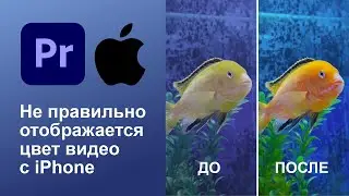 Adobe Premiere не правильно отображает цвет видео с iPhone