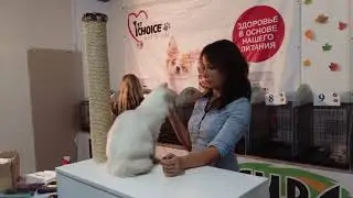 Экспертиза сибиряков (Гребнева Ольга)