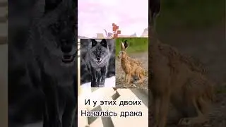 Спидран по YouTube Shorts 3. ПОТЕРЯННАЯ СЕРИЯ ИЗ НУ ПОГОДИ 