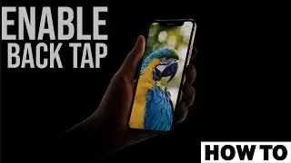 How to Use Back Tap on Your iPhone in iOS 15? Camera or Any APP