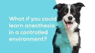 Midmark Academy Anesthesia Simulation Workshop