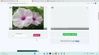 Encrypt image - imageonline.co
