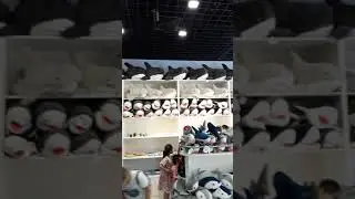 акулий магазин #shorts