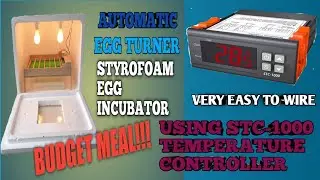 DIY AUTHOMATIC STYROFOAM EGG INCUBATOR USING STC-1000 TEMPERATURE CONTROLLER|HOW TO WIRE STC-1000