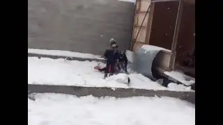 Снежки зимой