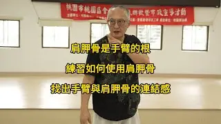 【20240824(01)】甩手練習，借手的重量鬆落，操控肩胛骨，做手臂的根。【何靜寒老師】【八卦拳&太極拳】