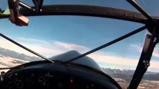 Avid flyer roll