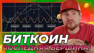 Биткоин на Пороге $100,000: Последняя Вершина Перед Затяжным Медвежьим Рынком?