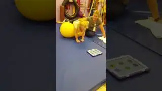 Occupational Therapy- Exercise Ball