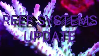 Reef System Update  + Announcements 👍