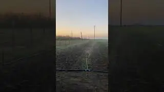 участок полив -спринклер в деле 😉