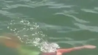 Sirena real encontrada viva con telescopio