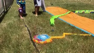 Humingbird feeding on a water from a waterslide
