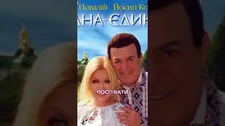 Ну просто Боже проведіння! 😇 Повалій у Корчевнікова #news #телебачення_торонто