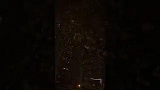 Robin Bird is Singing - Kizilgerdan Kuşu Ötüyor