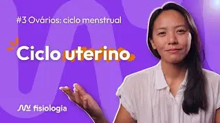 [#3] OVÁRIOS: CICLO MENSTRUAL (CICLO UTERINO) | MK Fisiologia