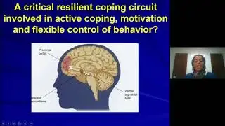 Alcohol's Dark Side:  The role of stress neurobiology in risk and recovery from alcohol use disorder