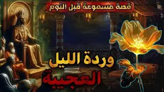 قصة وردة الليل العجيبة،قصة مسموعة ممتعة جدا،قصص مسموعة قبل النوم،صوت الحكايات