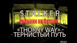 тайники на Затоне, S.T.A.L.K.E.R. Тернистый путь