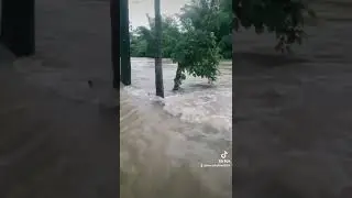 কানাইঘাট উপজেলার বিষ্ণপুর ওয়ার্ড এ পানি ডুকতেছে আল্লাহ সহায়#বন্যা #shorts #video #viralvideo