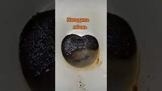 всем любви и семейного счастья