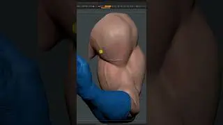 Arm ZBrush High Poly Sculpt.